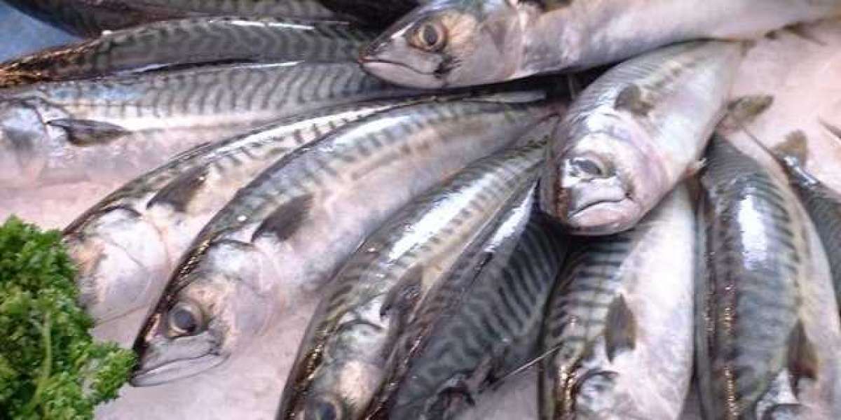 Mackerel Market to Experience Significant Growth by 2033