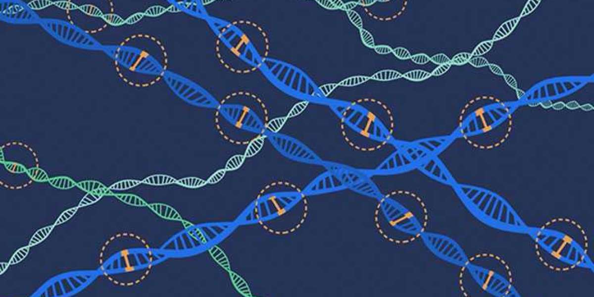 Genotyping Market size to reach USD 137,602.6 million by 2030