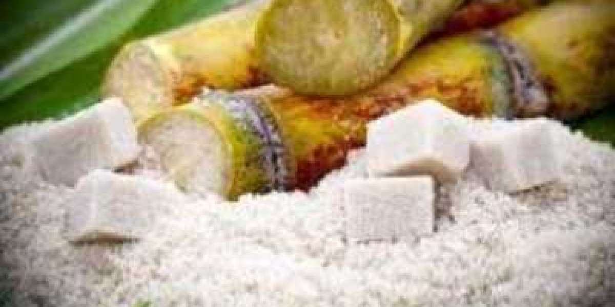 Alcohol and Starch Enzyme Market Soars $3962.3 Billion by 2030