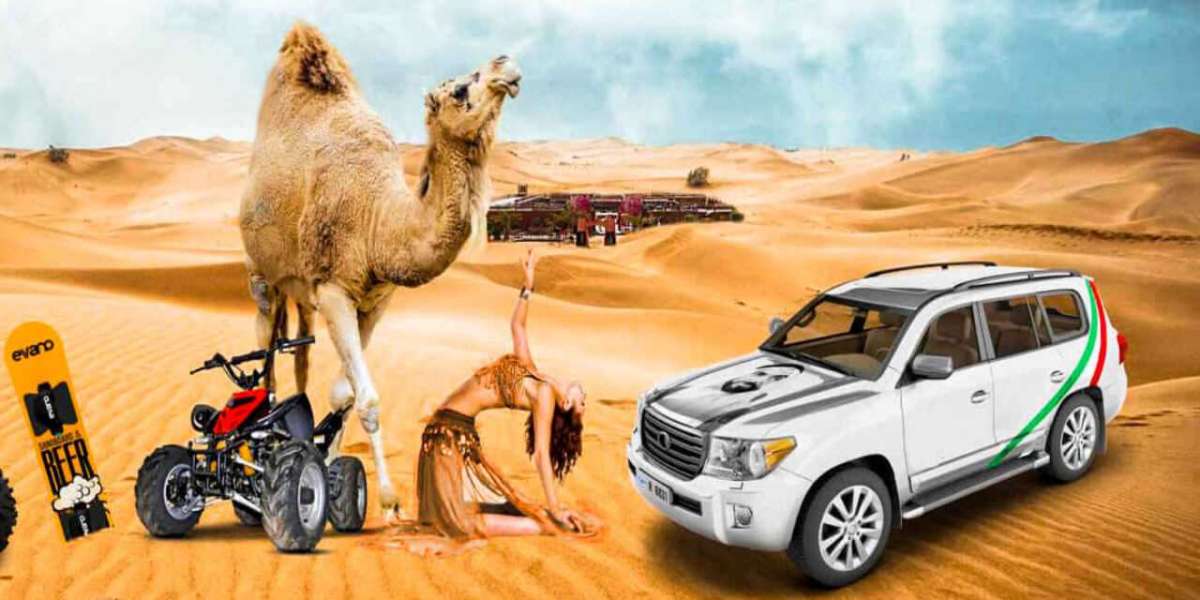 CamelTrekking  abu dhabi