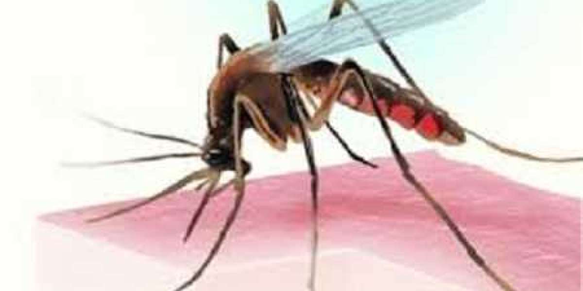 Mosquito Repellent Market Soars $9.54 Billion by 2030
