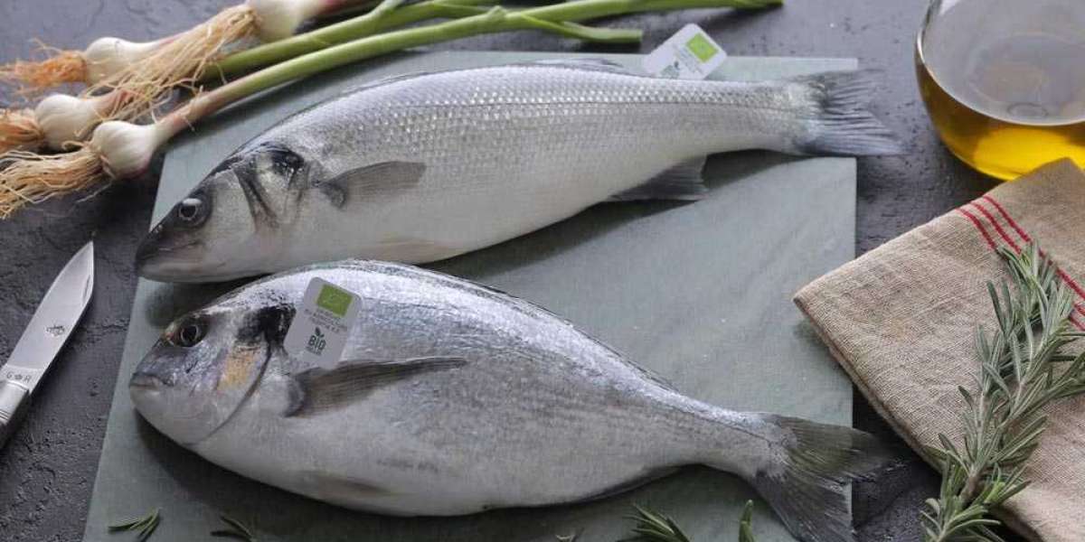 Sea Bass and Sea Bream Market Overview, Size, Industry Share, Growth, Report 2023-2028