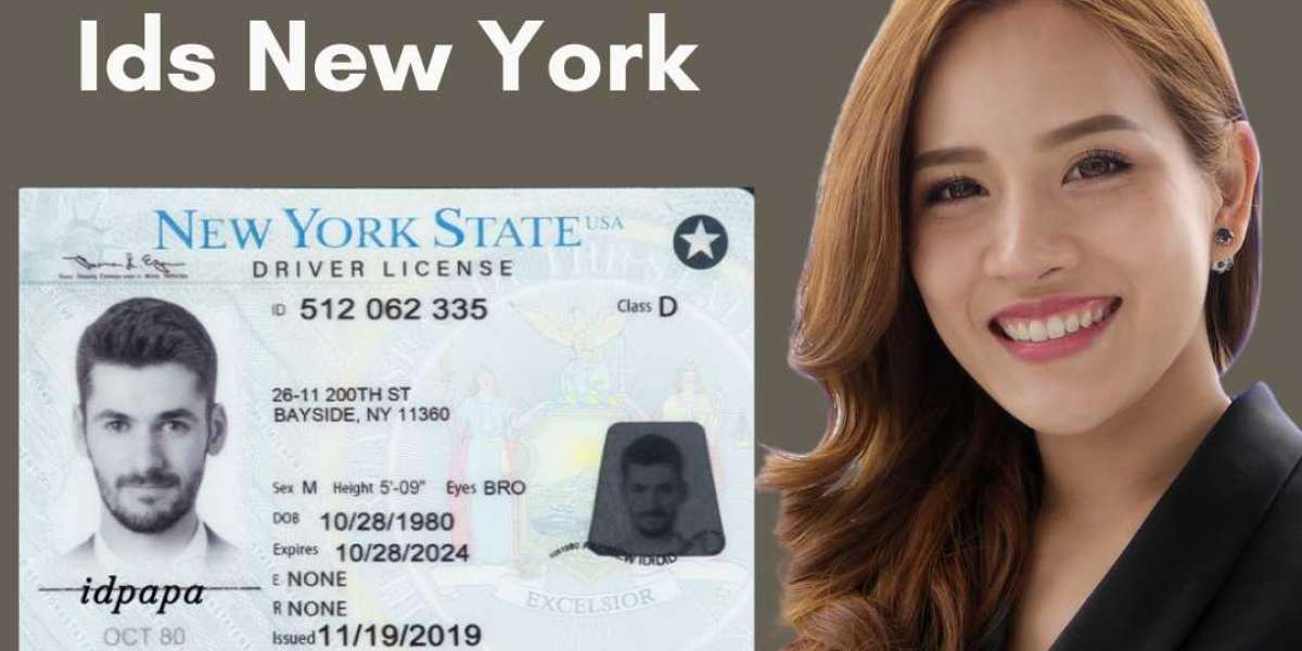 Spot in the Empire State: Buy the Best ID New York from IDPAPA