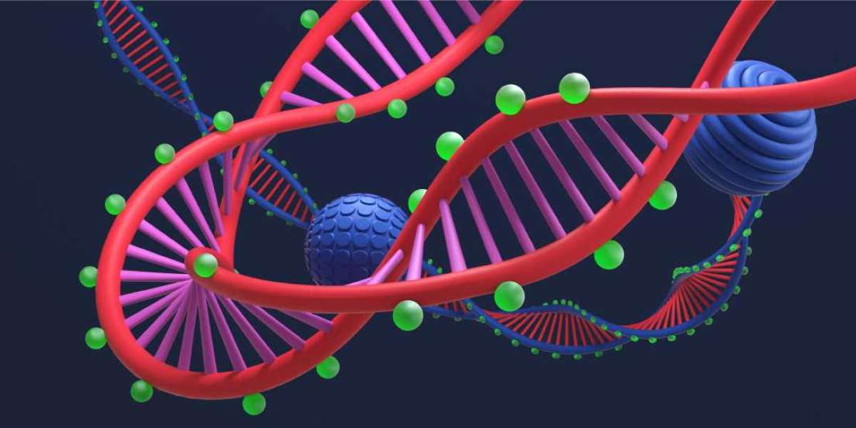 DNA Methylation Sequencing Market size is expected to grow USD 6,235.5 million by 2033