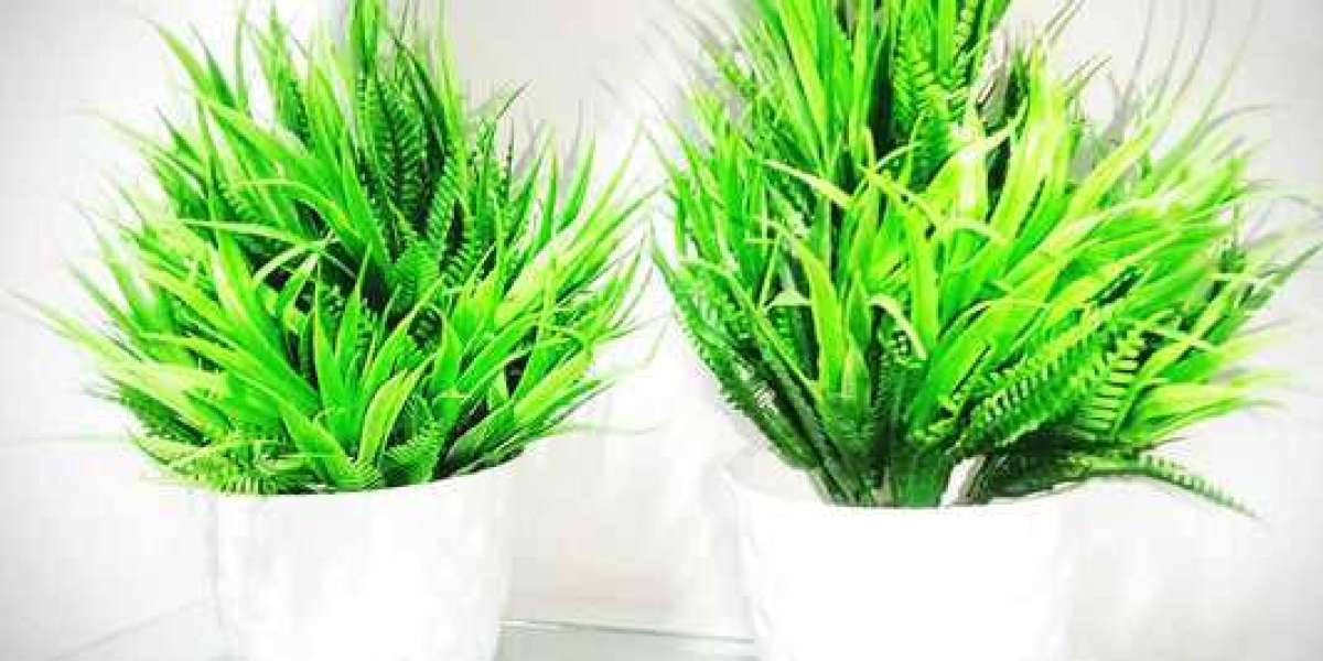 The Evergreen Allure of Artificial Plants: Beauty that Lasts a Lifetime