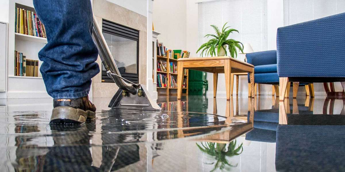How to Choose the Best Wet Carpet Drying Service in Sydney