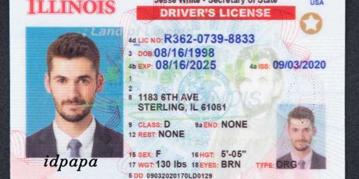 Buy Illinois Fake ID from idpapa