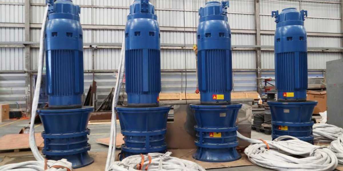 Regional Analysis of the Submersible Pumps Market Identifying Growth Hotspots