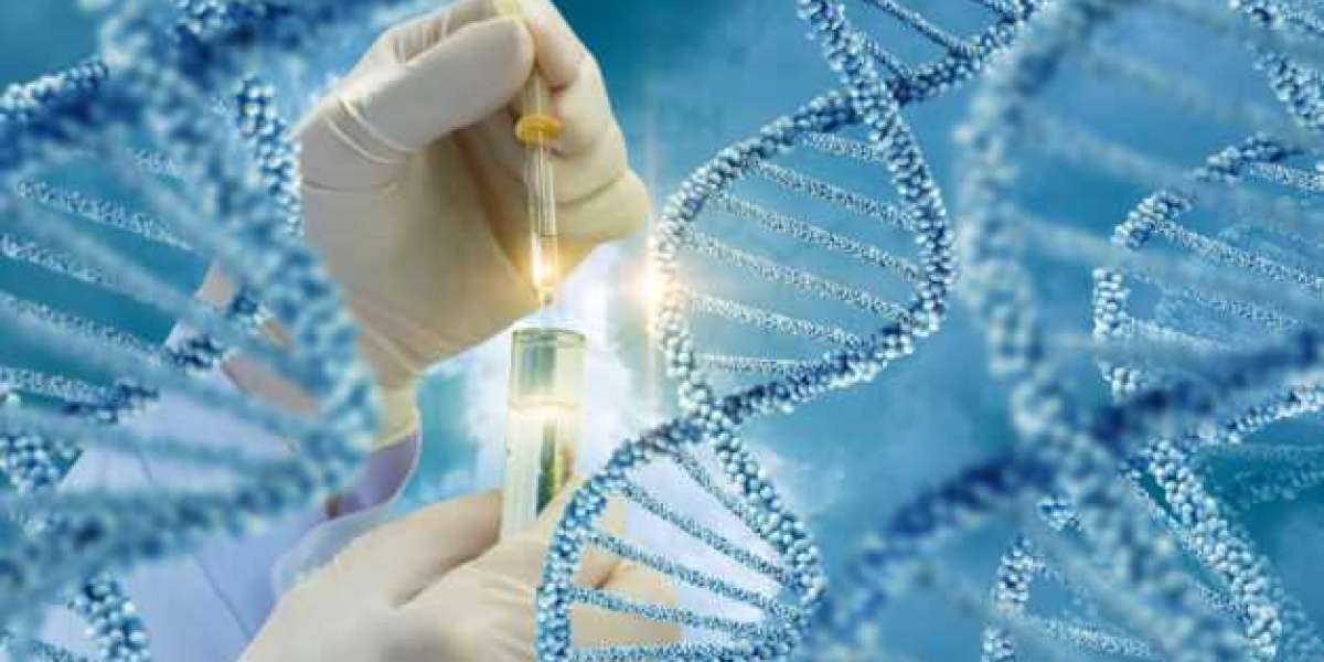Relationship DNA Tests Market size See Incredible Growth during 2033