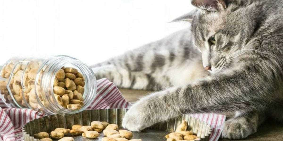 Pampering Your Feline Friend: The Ultimate Guide to Cat Treats