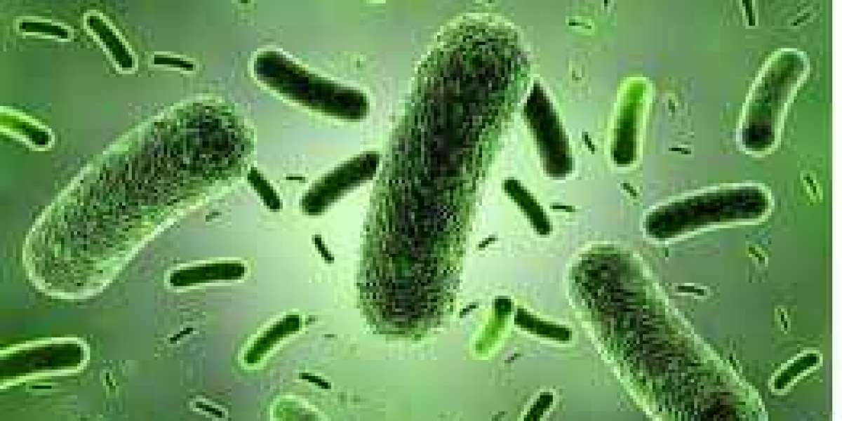 Antimicrobial Nanocoatings Market Soars $3.1 Billion by 2030