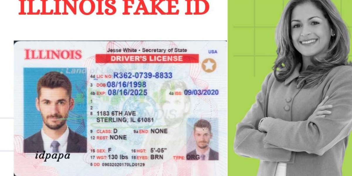 Illinois Unleashed: Buy the Best Fake ID from IDPAPA and Dive into the Prairie State
