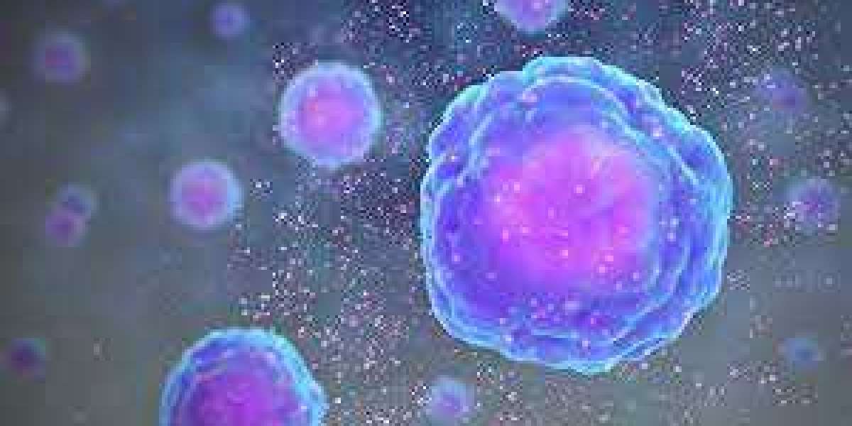 Stem Cell Cytokines Market size is expected to grow at a CAGR of 11.4% from 2023 to 2033