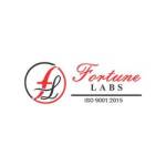 Fortune Labs