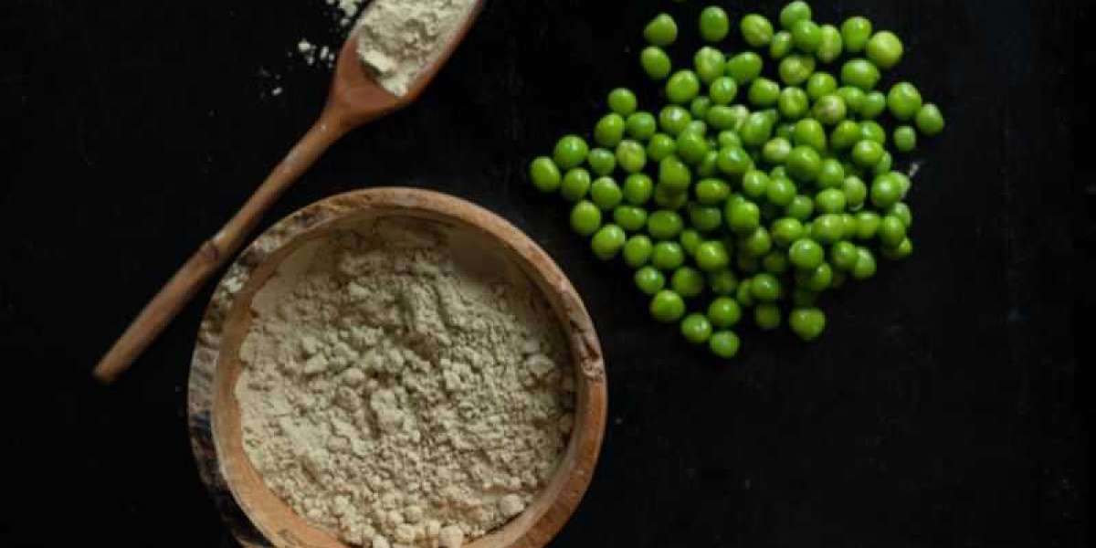 The Growing Popularity of Pea Protein: A Market Overview