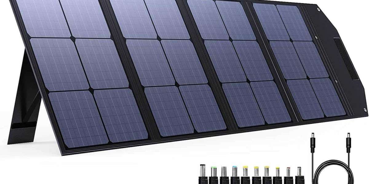Powering Up Anywhere, Anytime Unveiling the Trends and Opportunities in the Portable Solar Charger Market