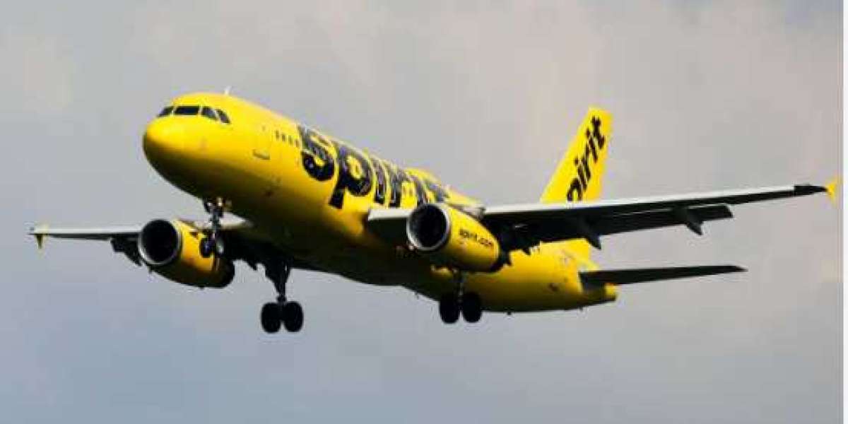 Office of Spirit Airlines