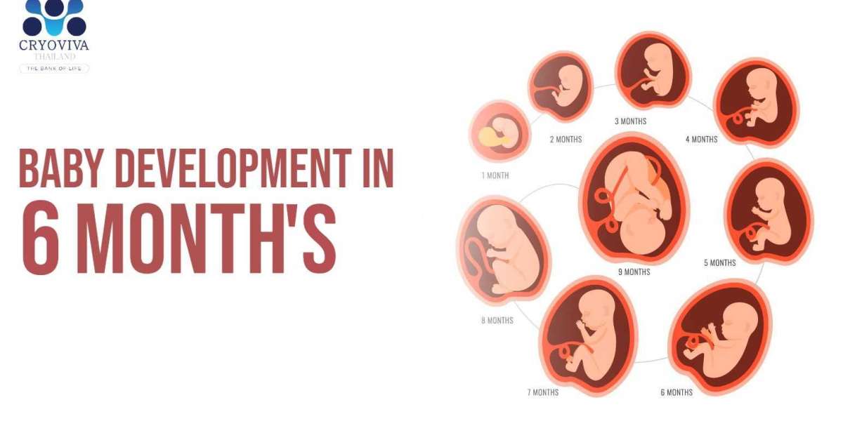 Baby Development in The Sixth Month (From Week 21 to Week 24)