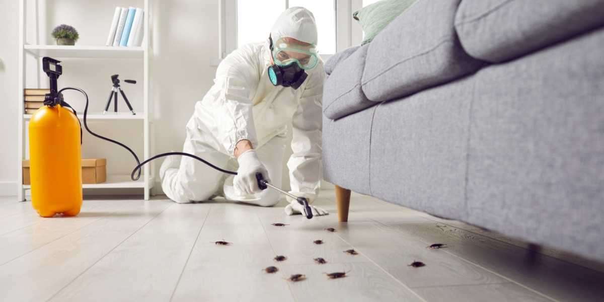 Advantages of Pest Control Services- Is It Worthy?
