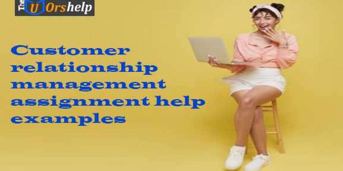 Customer relationship management assignment help examples