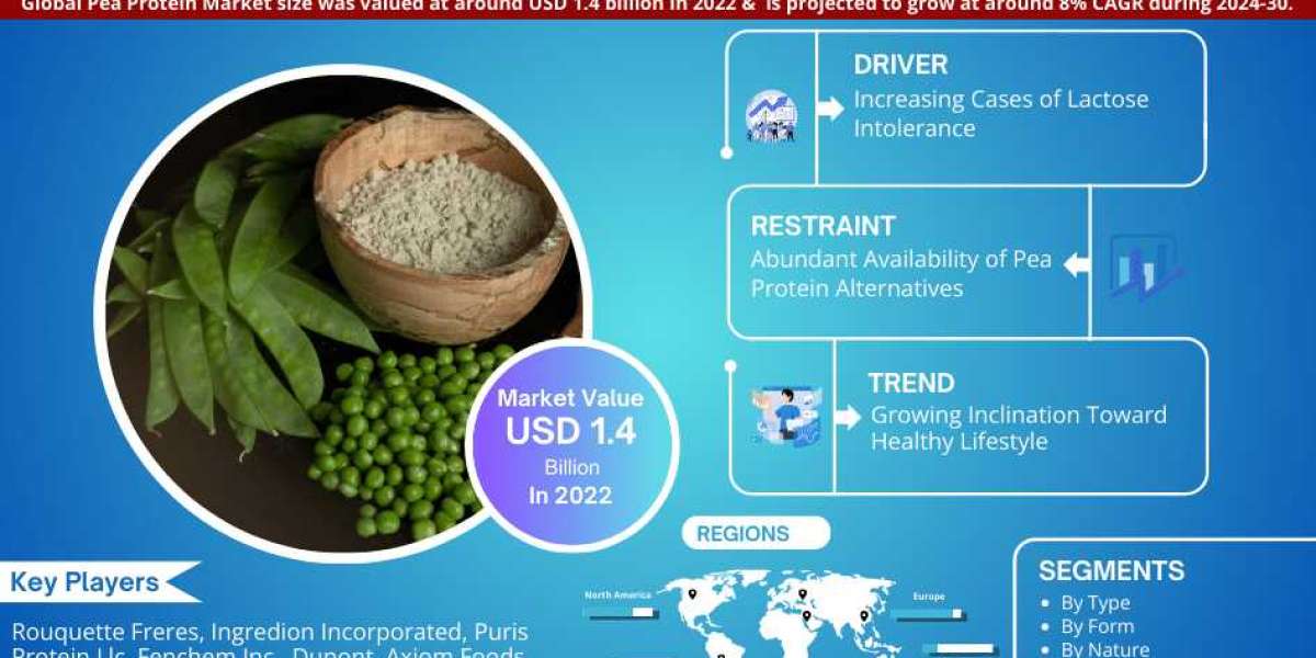 Pea Protein Market Demand and Development Insight | Industry 8% CAGR Growth by 2024-2030