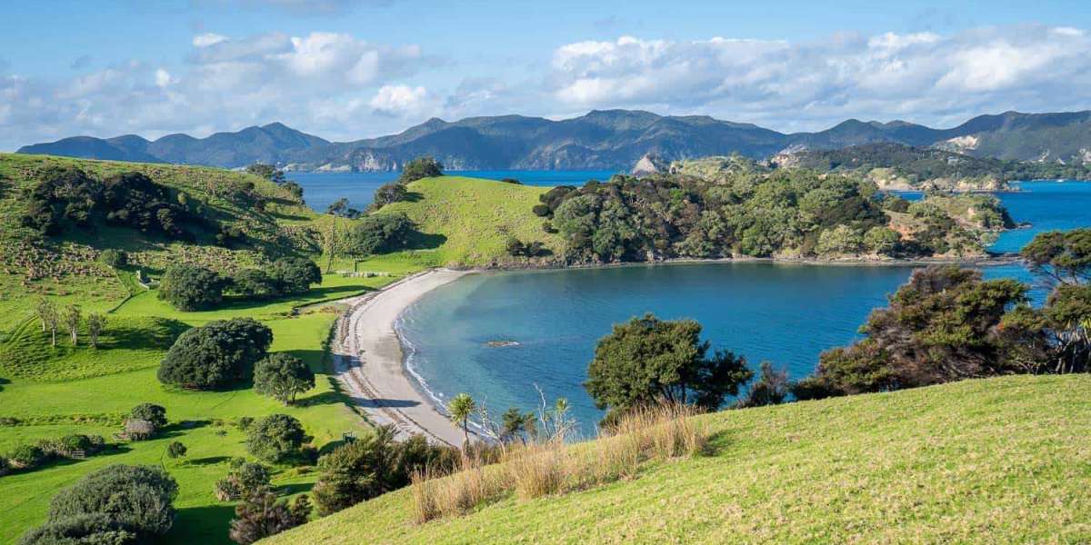 Top 5 Places To Visit In New-Zealand