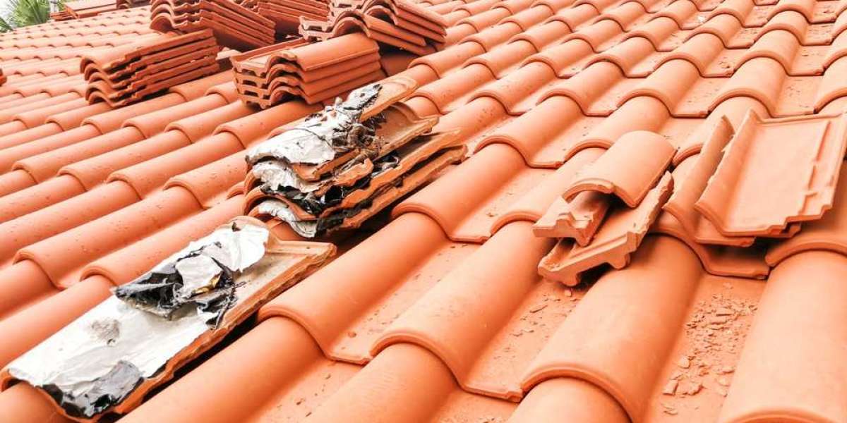 Elevate Your Home's Charm with Precision Roof Restoration