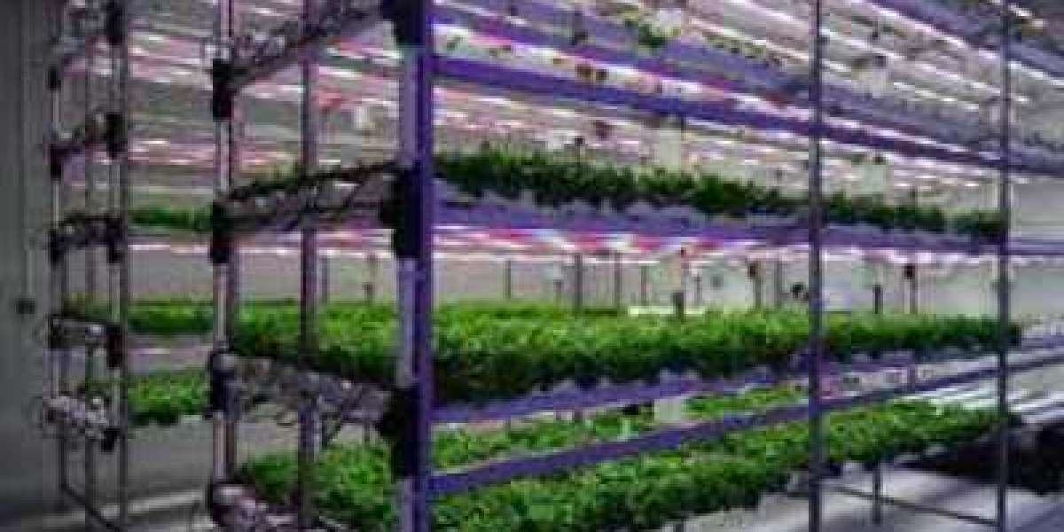 Plant Growth Chambers Market Soars $630.91 Million by 2030