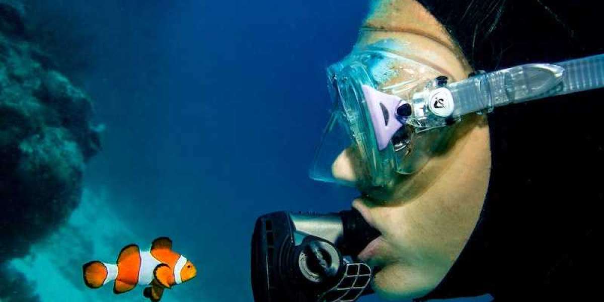 Scuba Diving Regulators Market Globally Expected to Drive Growth through 2023-2033