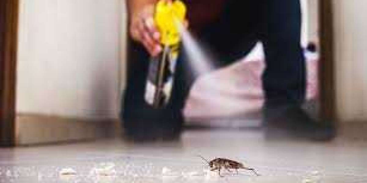 An article about Pest Identification Guide