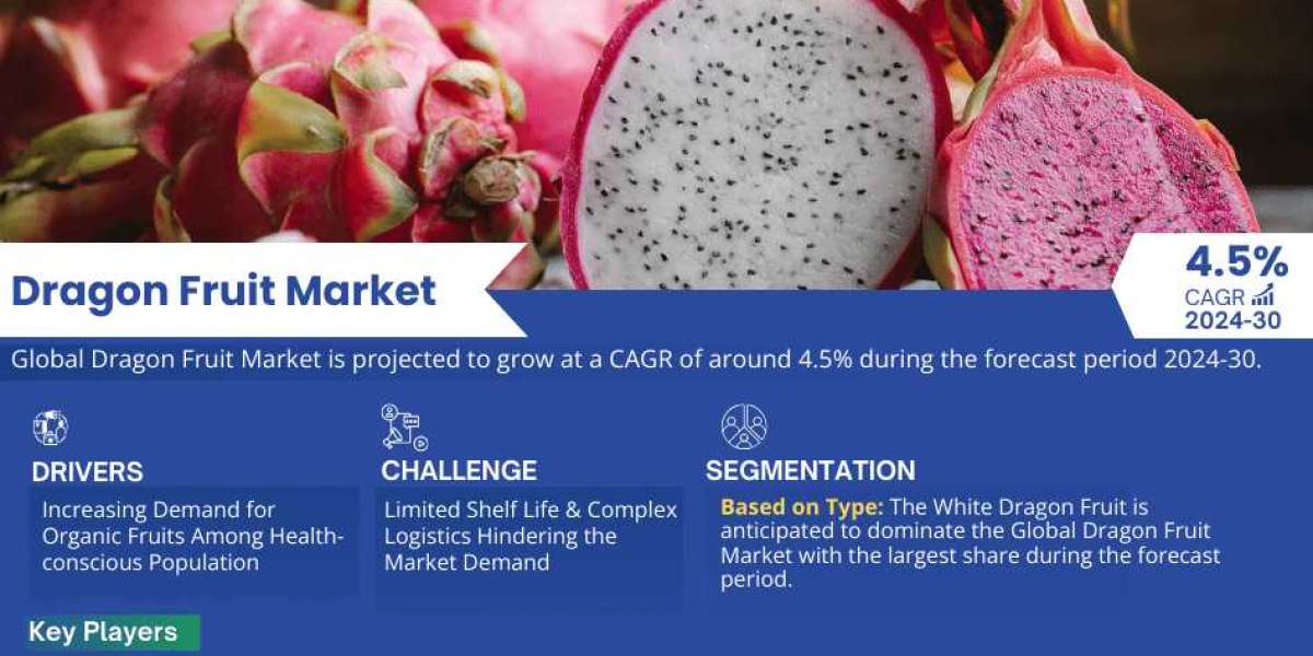Dragon Fruit Market Trends, Share, Growth Drivers, Business Analysis and Future Investment 2030: Markntel Advisors