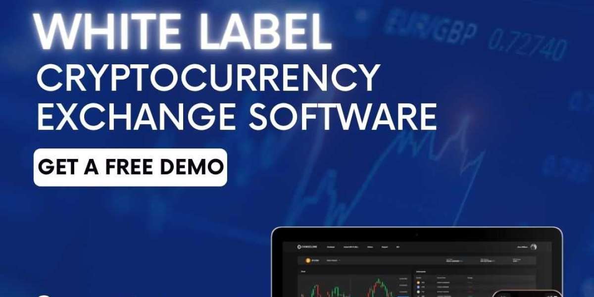 Revolutionizing the Crypto Industry: White-label Crypto Exchange Software in the Dynamic Landscape of 2024