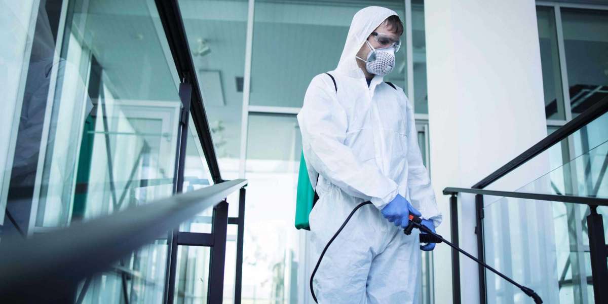 Looking for Mold Remediation in Doral? Explore Expert Solutions