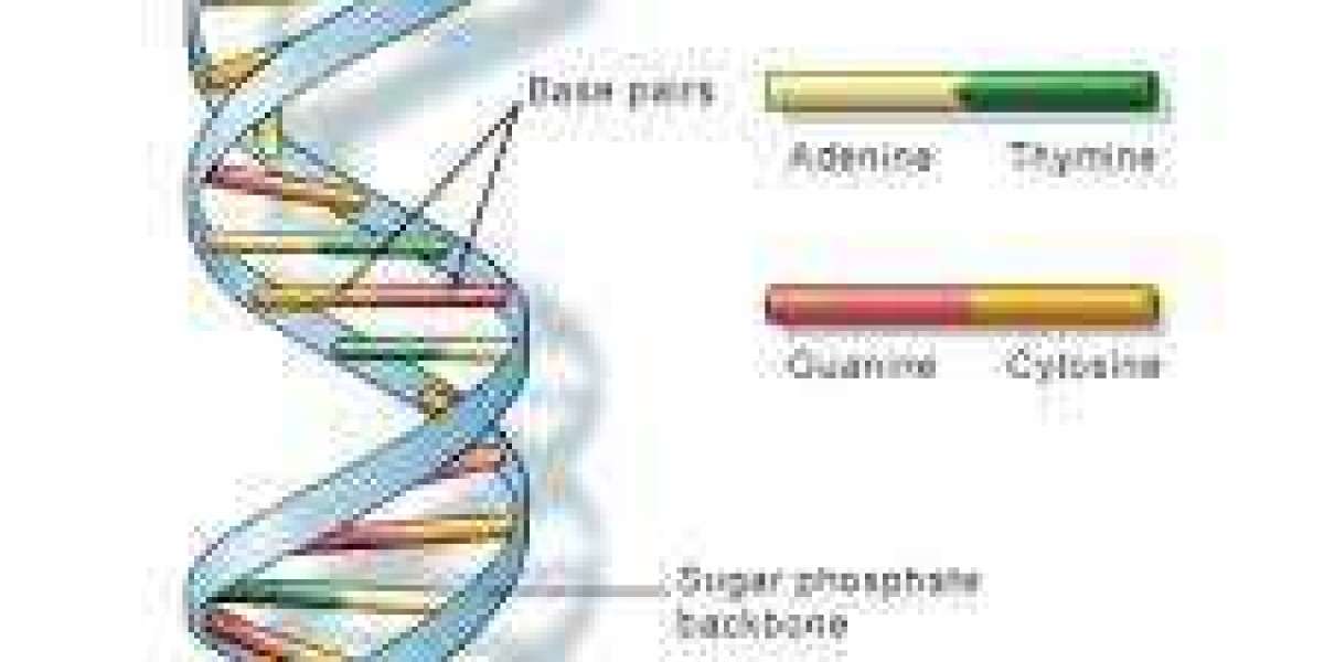 DNA Sequencing Market Size $16.81 Billion by 2030
