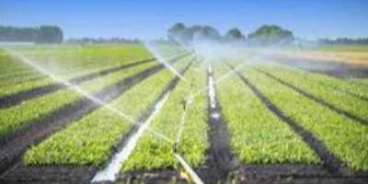 Agricultural Testing Market Size $10.7 Billion by 2030