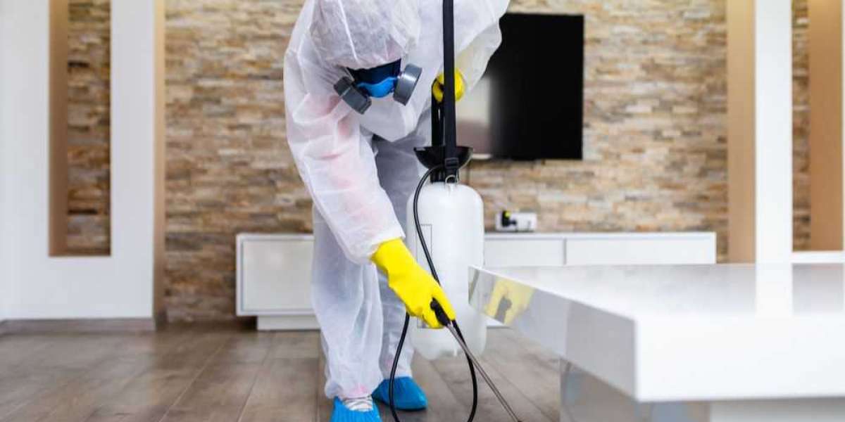 9 Signs That Indicate You Need Professional Pest Control Services
