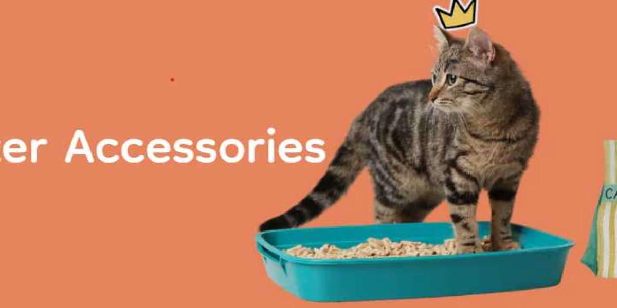 Maryam's Pet Store - Litter Accessories: Enhancing Your Feline Friend's Comfort