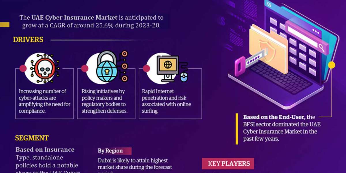 UAE Cyber Insurance Market to Eyewitness Huge Growth by 2028