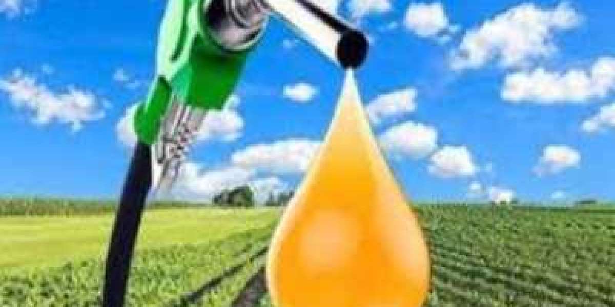Biodiesel Market Size $51.35 Billion by 2030