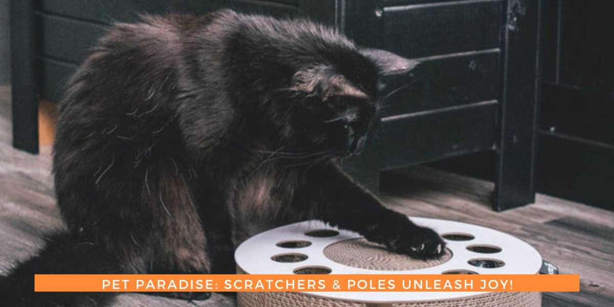 Pet Paradise: Scratchers & Poles Unleash Joy!