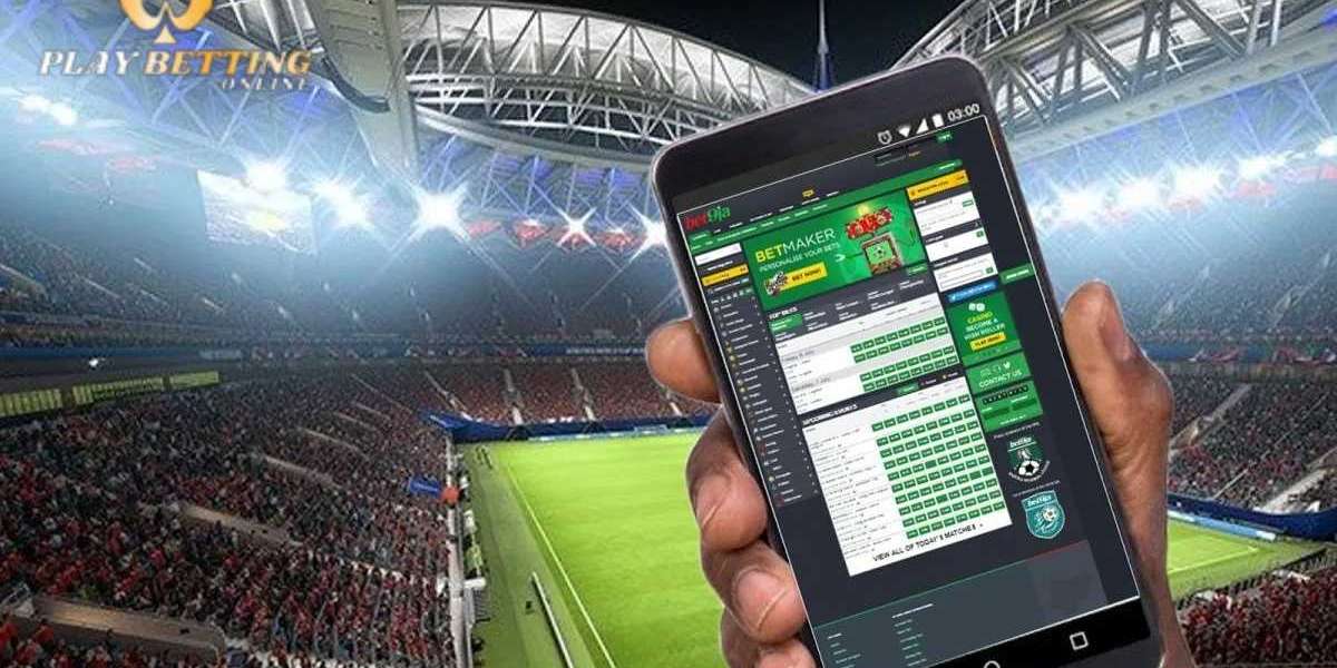 Cricket ID: India's Most Trusted Online Betting ID in 2024