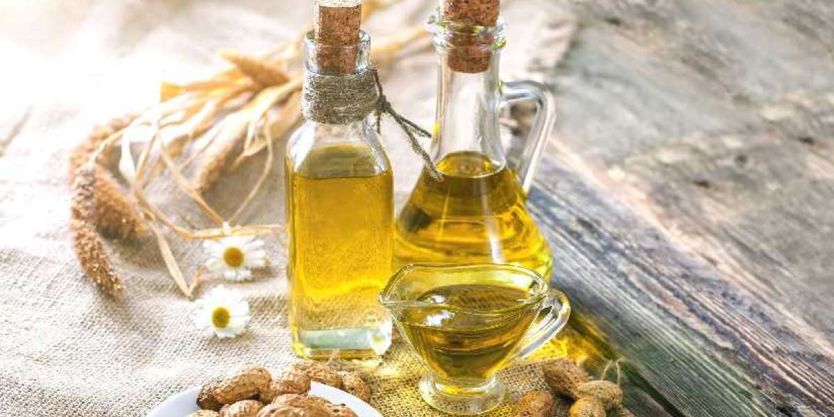Groundnut Oil Manufacturing Plant Project Report: Comprehensive Business Plan, Raw Material Requirement, and Cost Analys