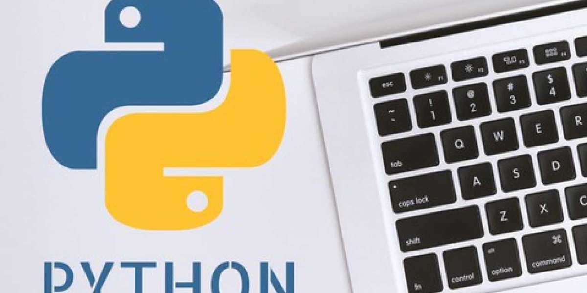 Remote vs. Onsite: Pros and Cons of Hiring a Python Developer