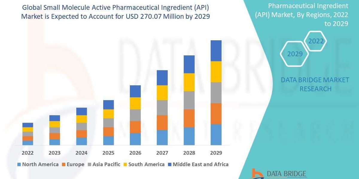 Small Molecule Active Pharmaceutical Ingredient (API) Market Opportunities, Share, Growth and Competitive Analysis and F
