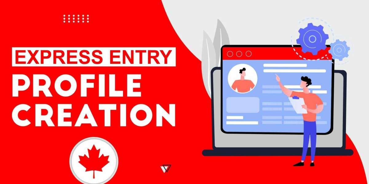 A Step-by-Step Guide to Canada Express Entry Profile Creation