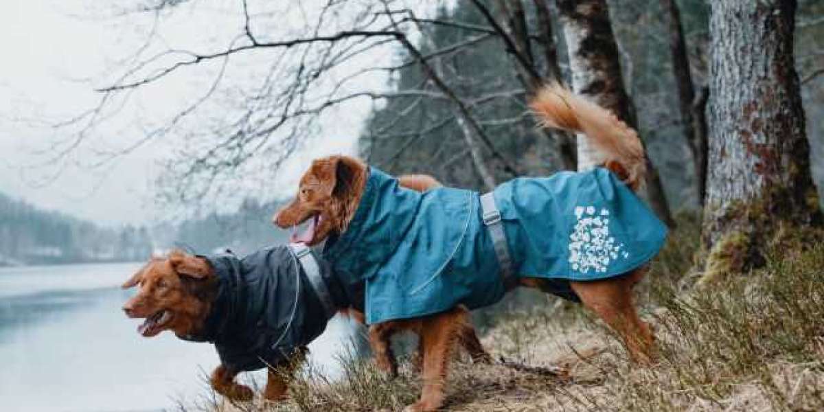 Drool-Worthy Designs: Fashionable Trends in Dog Rainwear