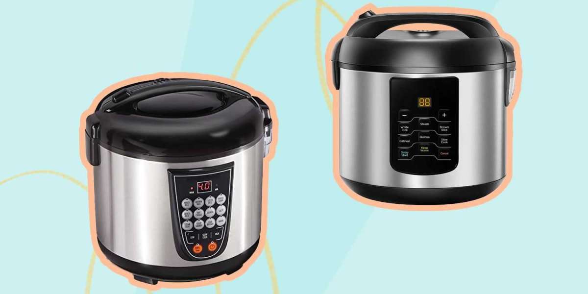 Multi Cooker Market Size, Share, Growth Opportunities and Business Statistics 2023-2028
