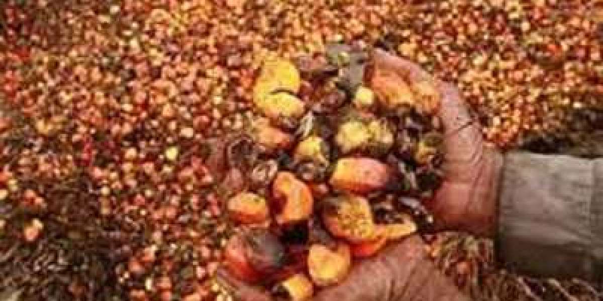 Palm Oil Market Size $80.90 Billion by 2030