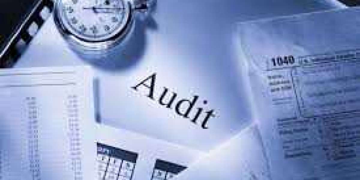 Dubai's Financial Guardians: Unraveling Excellence in Auditing and Accounting