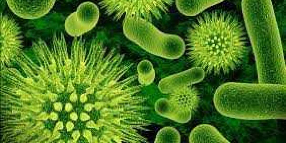 Antimicrobial Nanocoatings Market Size $3.1 Billion by 2030